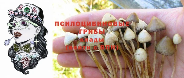 метадон Баксан